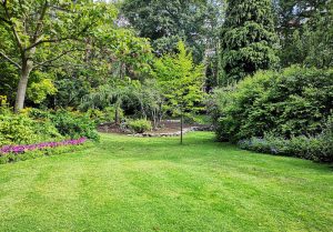 Optimiser l'expérience du jardin à Cruzy-le-Chatel